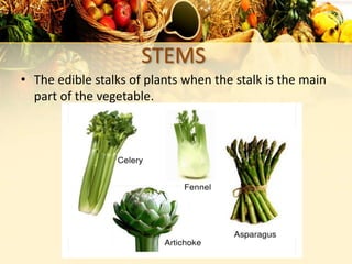 STEMS
• The edible stalks of plants when the stalk is the main
part of the vegetable.
 