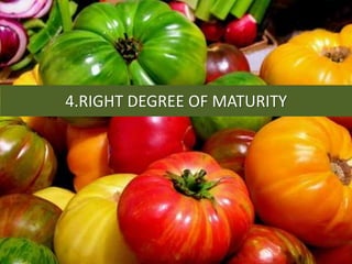 4.RIGHT DEGREE OF MATURITY
 
