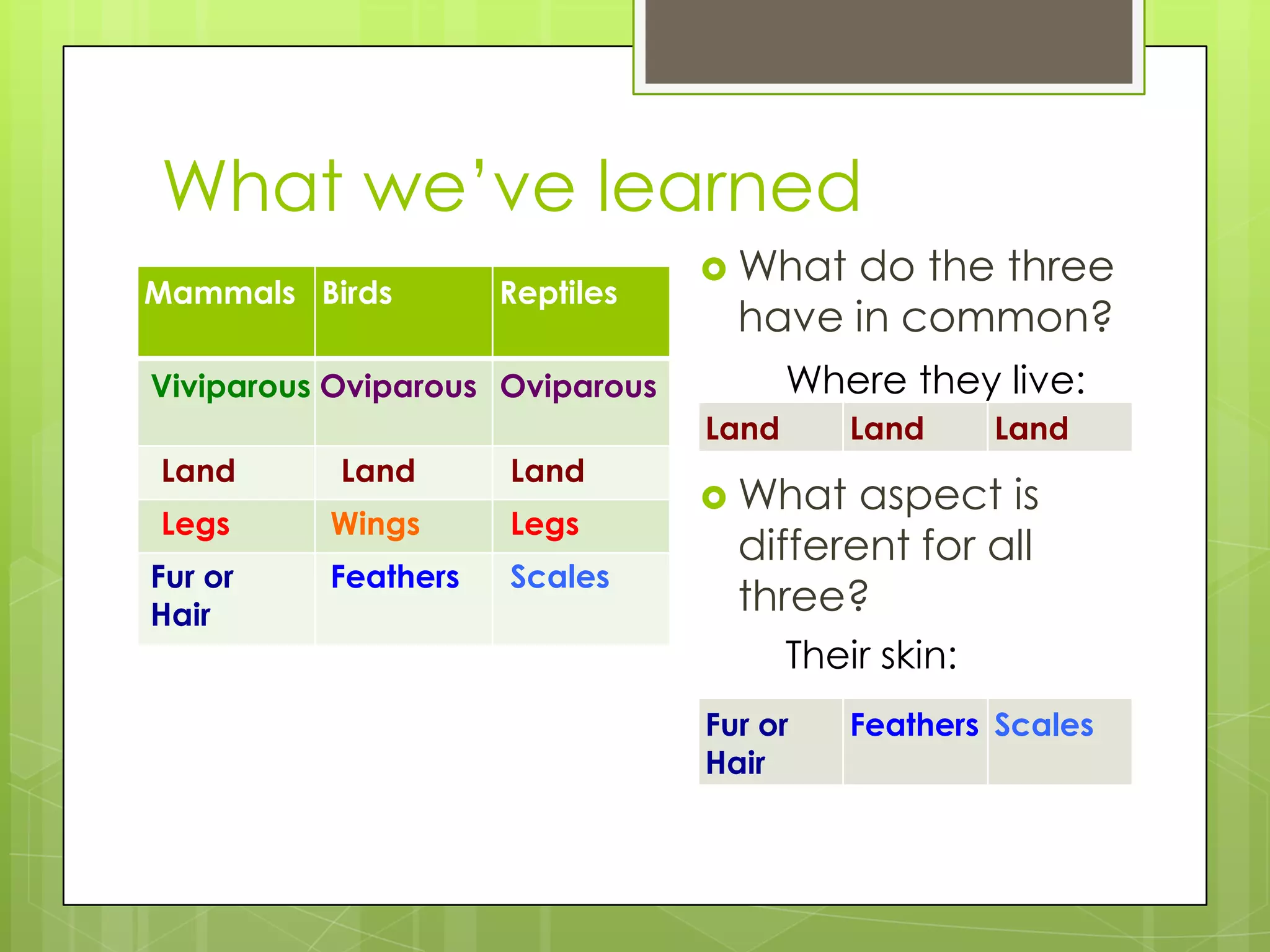 What we’ve learned
Mammals Birds

Reptiles

 What

do the three
have in common?
Where they live:

Viviparous Oviparous Oviparous
Land
Land

Land

Land

Legs

Wings

Legs

Feathers

Scales

Fur or
Hair

Land

Land

 What

aspect is
different for all
three?
Their skin:

Fur or
Hair

Feathers Scales

 
