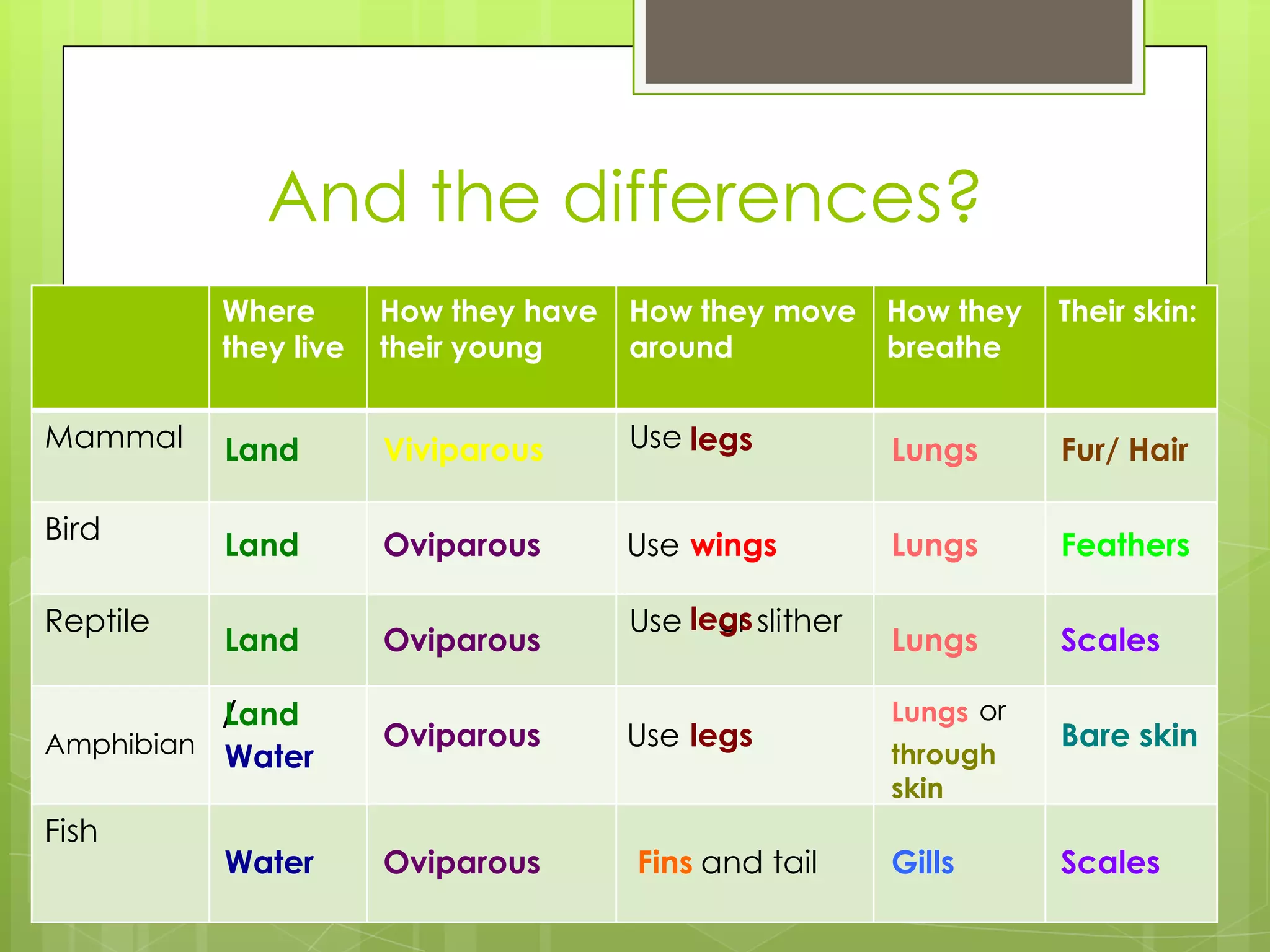 And the differences?
Where
they live

Mammal

Bird
Reptile

How they have
their young

How they move
around

How they
breathe

Their skin:

Land

Viviparous

Use legs

Lungs

Fur/ Hair

Land

Oviparous

Use wings

Lungs

Feathers

Land

Oviparous

Lungs

Scales

/
Land
Amphibian Water
Fish

Water

Oviparous

Oviparous

Use legs slither
or
Use legs

Fins and tail

Lungs or

through
skin

Gills

Bare skin

Scales

 