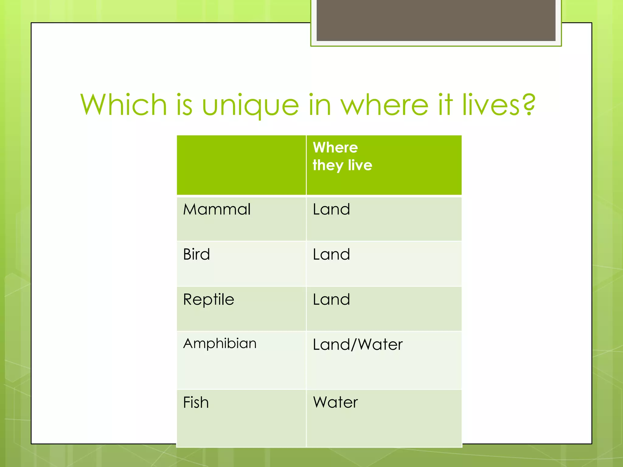 Which is unique in where it lives?
Where
they live

Mammal

Land

Bird

Land

Reptile

Land

Amphibian

Land/Water

Fish

Water

 