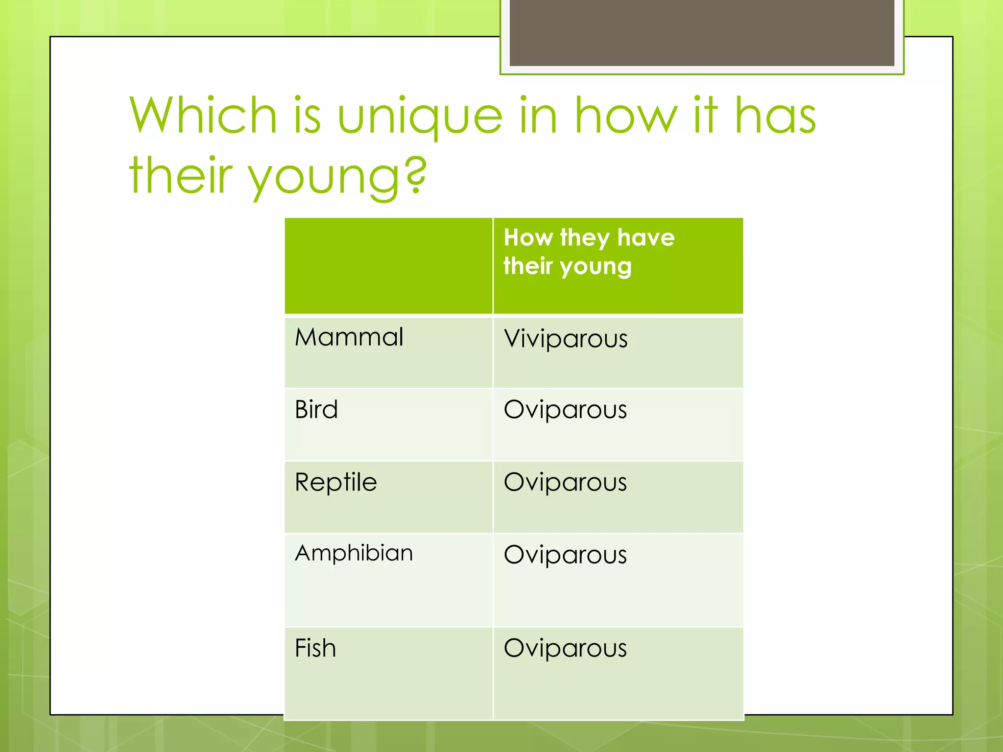 Which is unique in how it has
their young?
How they have
their young

Mammal

Viviparous

Bird

Oviparous

Reptile

Oviparous

Amphibian

Oviparous

Fish

Oviparous

 