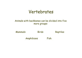 Classification of vertebrates | PDF