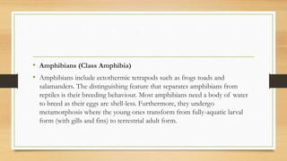 • Amphibians (Class Amphibia)
• Amphibians include ectothermic tetrapods such as frogs toads and
salamanders. The distinguishing feature that separates amphibians from
reptiles is their breeding behaviour. Most amphibians need a body of water
to breed as their eggs are shell-less. Furthermore, they undergo
metamorphosis where the young ones transform from fully-aquatic larval
form (with gills and fins) to terrestrial adult form.
 