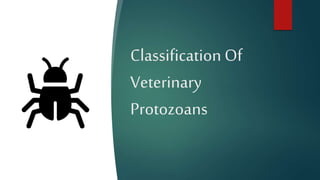 Classification Of
Veterinary
Protozoans
 