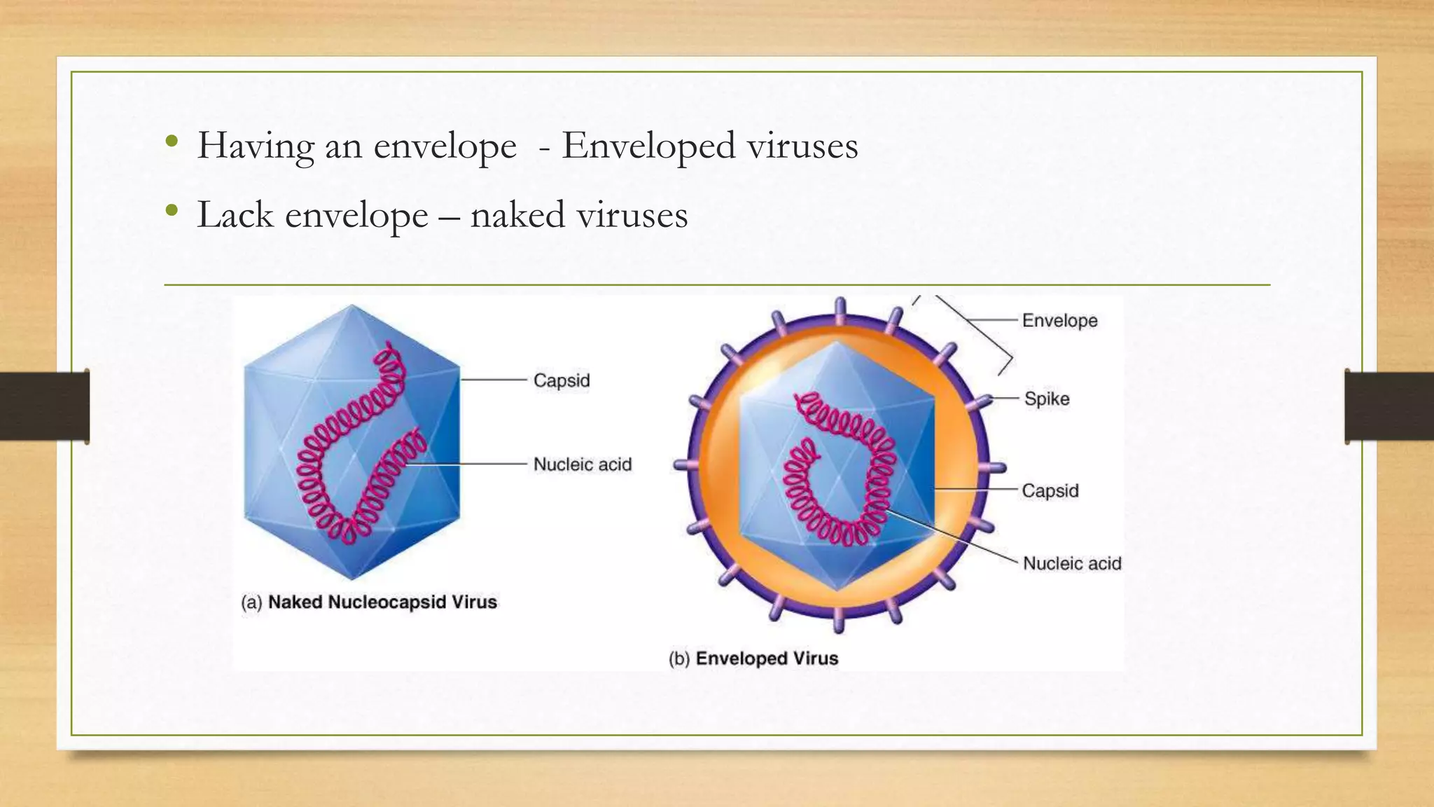 Classification of virus, symmetry | PPTX