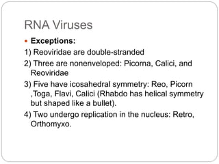 RNA Viruses
 Exceptions:
1) Reoviridae are double-stranded
2) Three are nonenveloped: Picorna, Calici, and
Reoviridae
3) Five have icosahedral symmetry: Reo, Picorn
,Toga, Flavi, Calici (Rhabdo has helical symmetry
but shaped like a bullet).
4) Two undergo replication in the nucleus: Retro,
Orthomyxo.
 