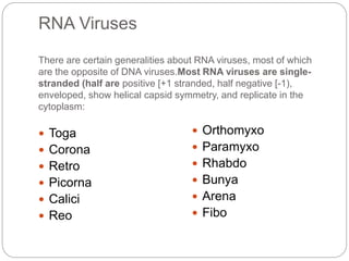 Classification Of Virus
