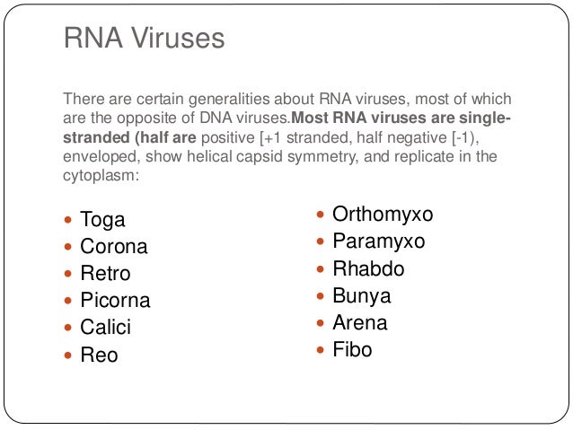 Classification Of Virus Classification Of Virus