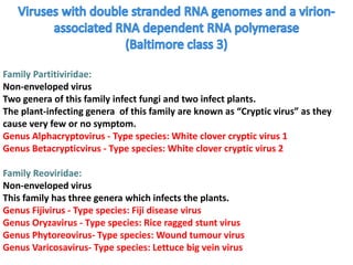 Classification of virus | PPTX