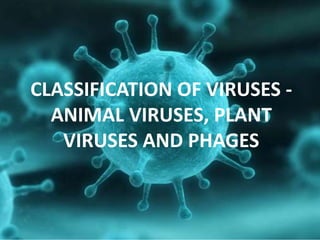 CLASSIFICATION OF VIRUSES -
ANIMAL VIRUSES, PLANT
VIRUSES AND PHAGES
 