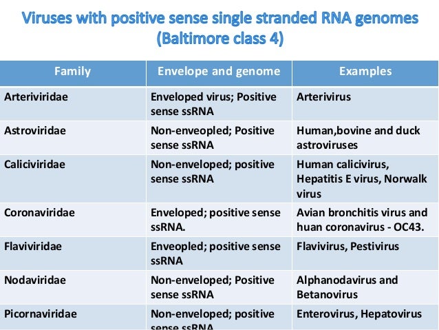 Classification of virus