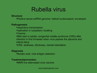 Classification Of Virus[Summary] | PPT