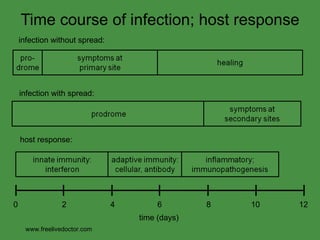 Classification Of Virus[Summary] | PPT