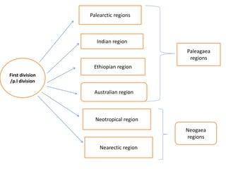 Classification of zoogeographical regions | PPTX