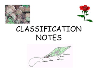 CLASSIFICATION
    NOTES
 