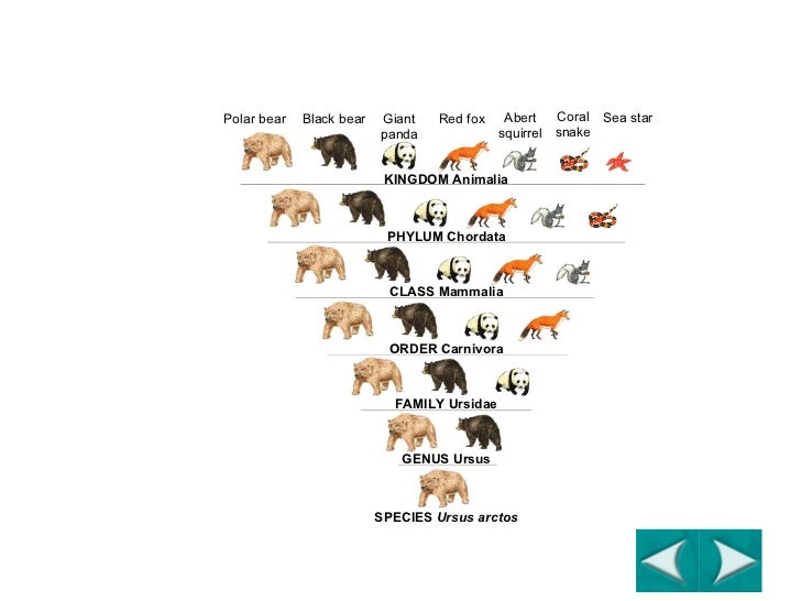 Classification part 1 for blog