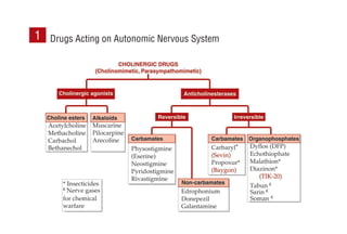 Drugs Acting on Autonomic Nervous System
1
 