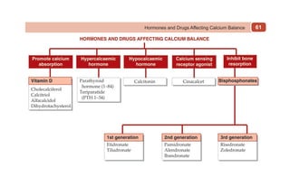 61
Hormones and Drugs Affecting Calcium Balance
 