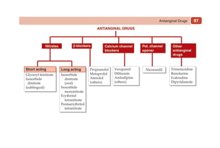 97
Antianginal Drugs
 