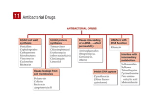 136
Antibacterial Drugs
11
 