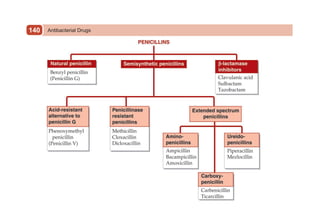 Antibacterial Drugs
140
 
