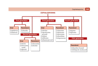 143
Cephalosporins
 