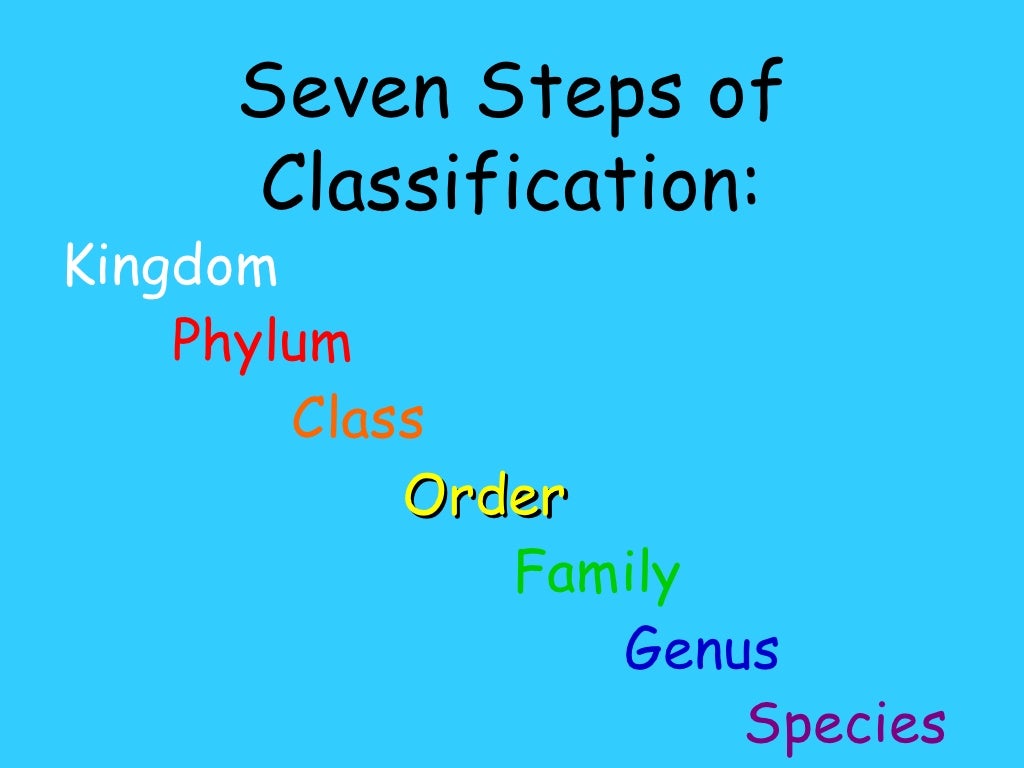 Classification Power Point 1