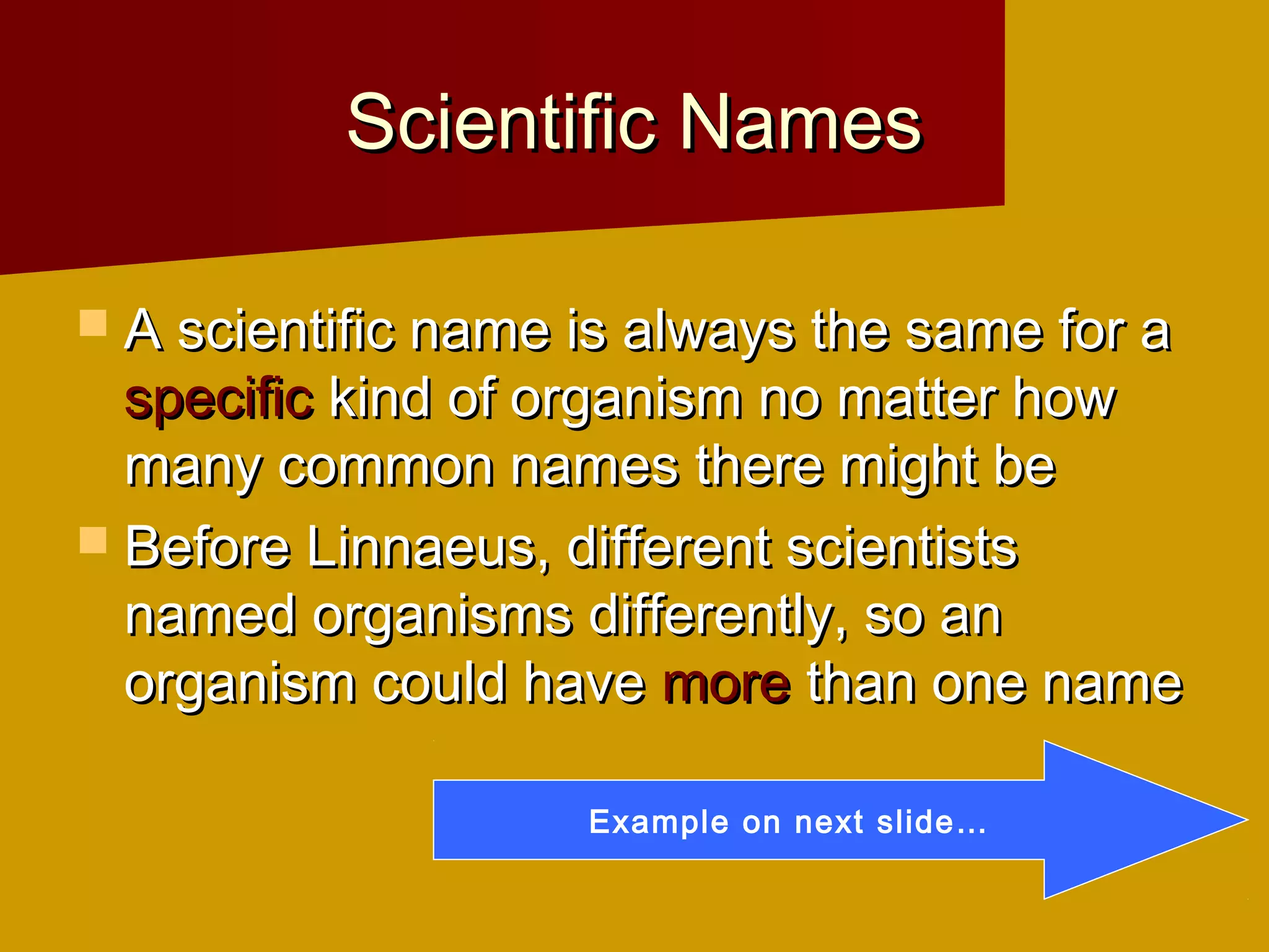 Scientific Names

 A scientific name is always the same for a
  specific kind of organism no matter how
  many common names there might be
 Before Linnaeus, different scientists
  named organisms differently, so an
  organism could have more than one name

                    Example on next slide…
 