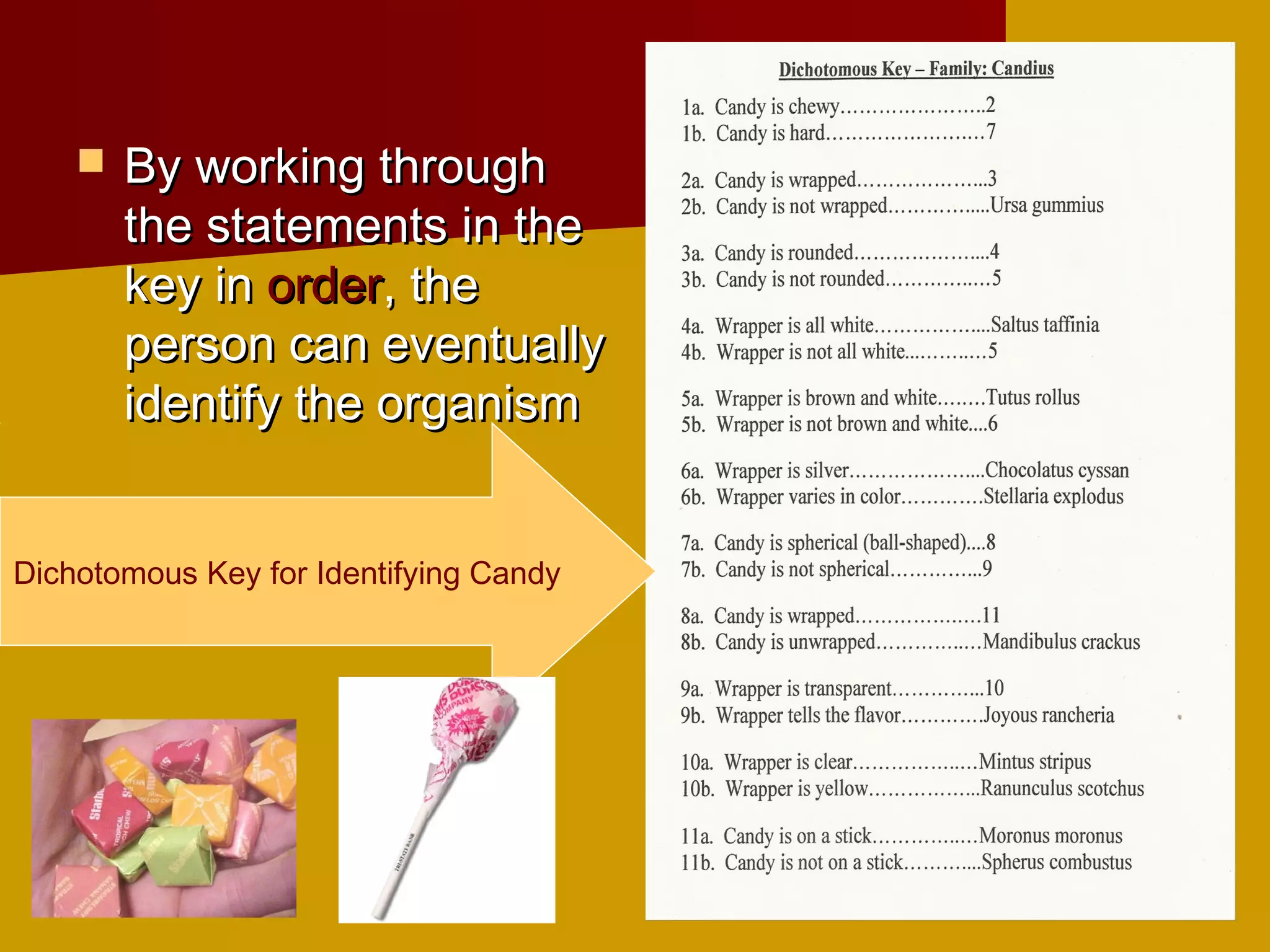    By working through
        the statements in the
        key in order, the
        person can eventually
        identify the organism


Dichotomous Key for Identifying Candy
 