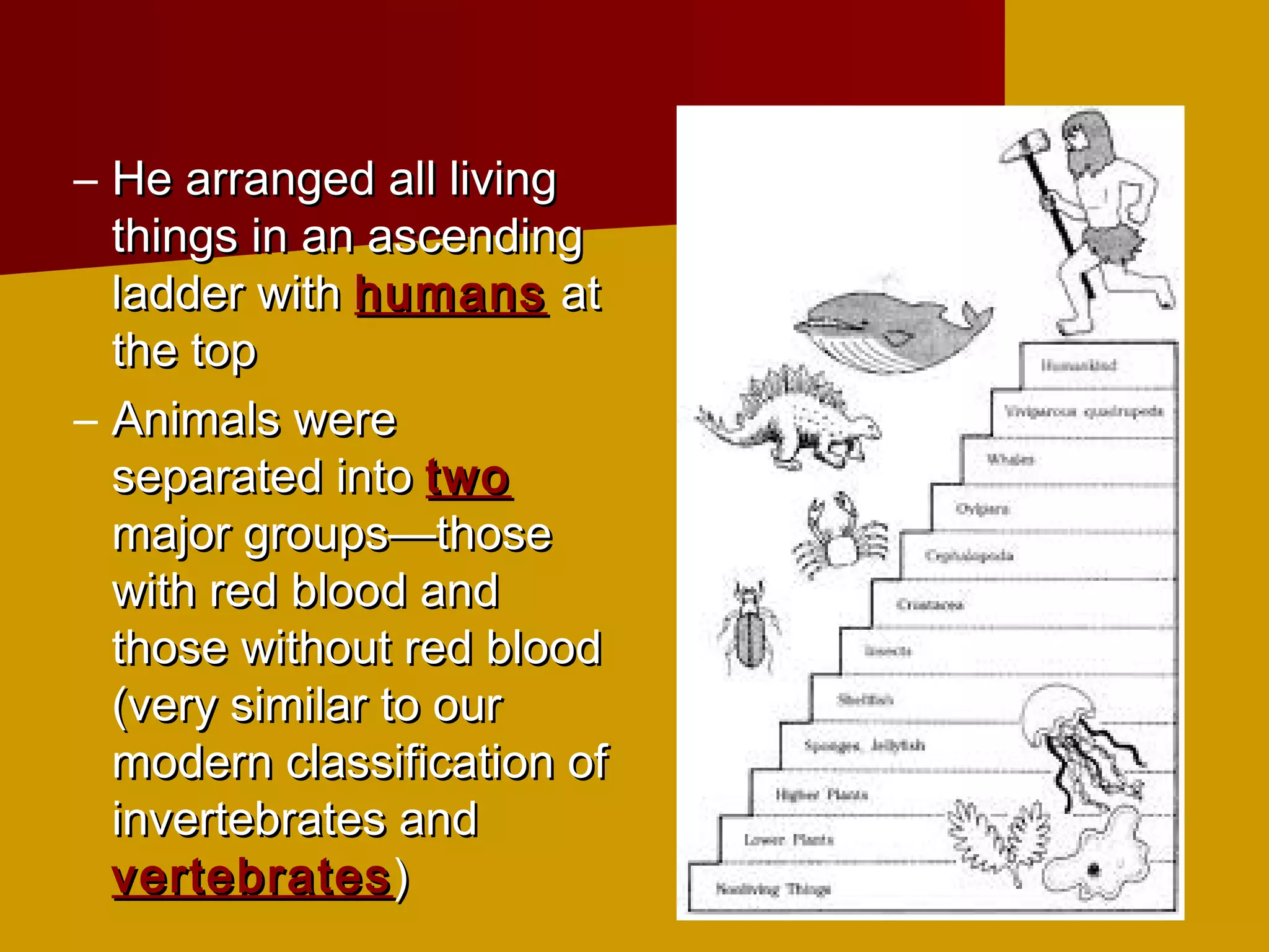 – He arranged all living
  things in an ascending
  ladder with humans at
  the top
– Animals were
  separated into two
  major groups—those
  with red blood and
  those without red blood
  (very similar to our
  modern classification of
  invertebrates and
  vertebrates )
 