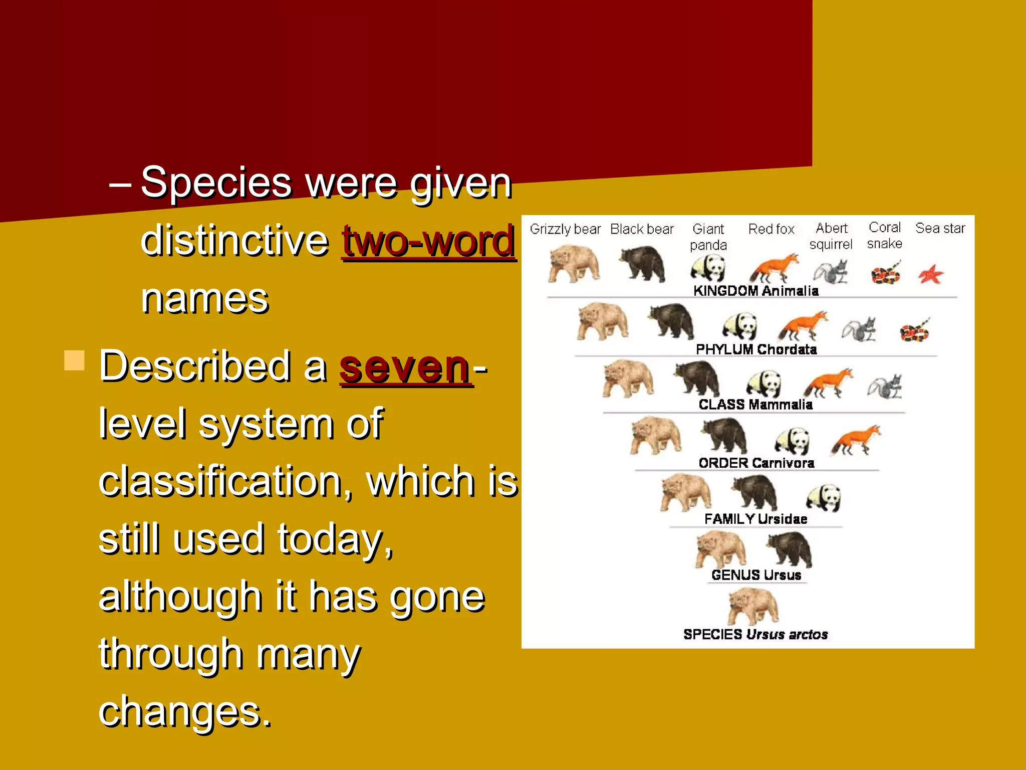 – Species were given
    distinctive two-word
    names
 Described a seven -
 level system of
 classification, which is
 still used today,
 although it has gone
 through many
 changes.
 