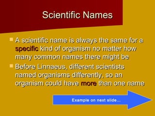 Scientific Names

 A scientific name is always the same for a
  specific kind of organism no matter how
  many common names there might be
 Before Linnaeus, different scientists
  named organisms differently, so an
  organism could have more than one name

                    Example on next slide…
 