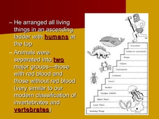 – He arranged all livingHe arranged all living
things in an ascendingthings in an ascending
ladder withladder with humanshumans atat
the topthe top
– Animals wereAnimals were
separated intoseparated into twotwo
major groups—thosemajor groups—those
with red blood andwith red blood and
those without red bloodthose without red blood
(very similar to our(very similar to our
modern classification ofmodern classification of
invertebrates andinvertebrates and
vertebratesvertebrates ))
 