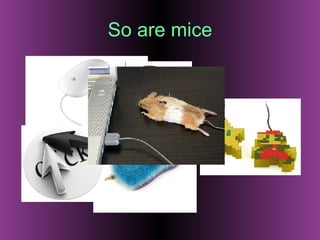 So are mice