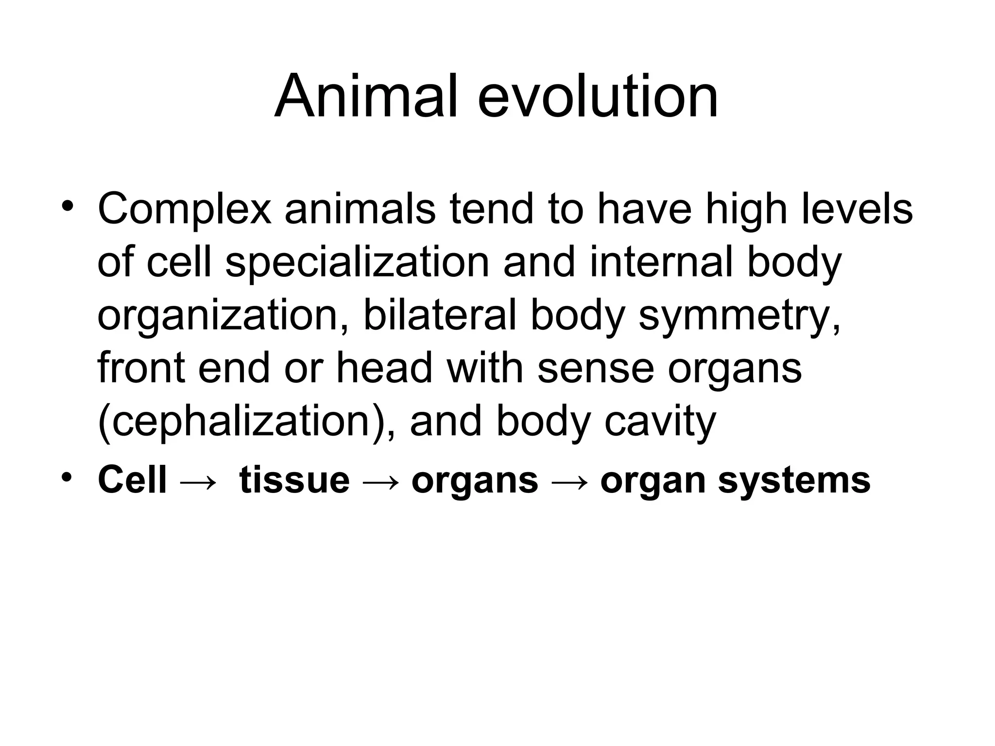 Animal evolution
• Complex animals tend to have high levels
of cell specialization and internal body
organization, bilateral body symmetry,
front end or head with sense organs
(cephalization), and body cavity
• Cell → tissue → organs → organ systems
 
