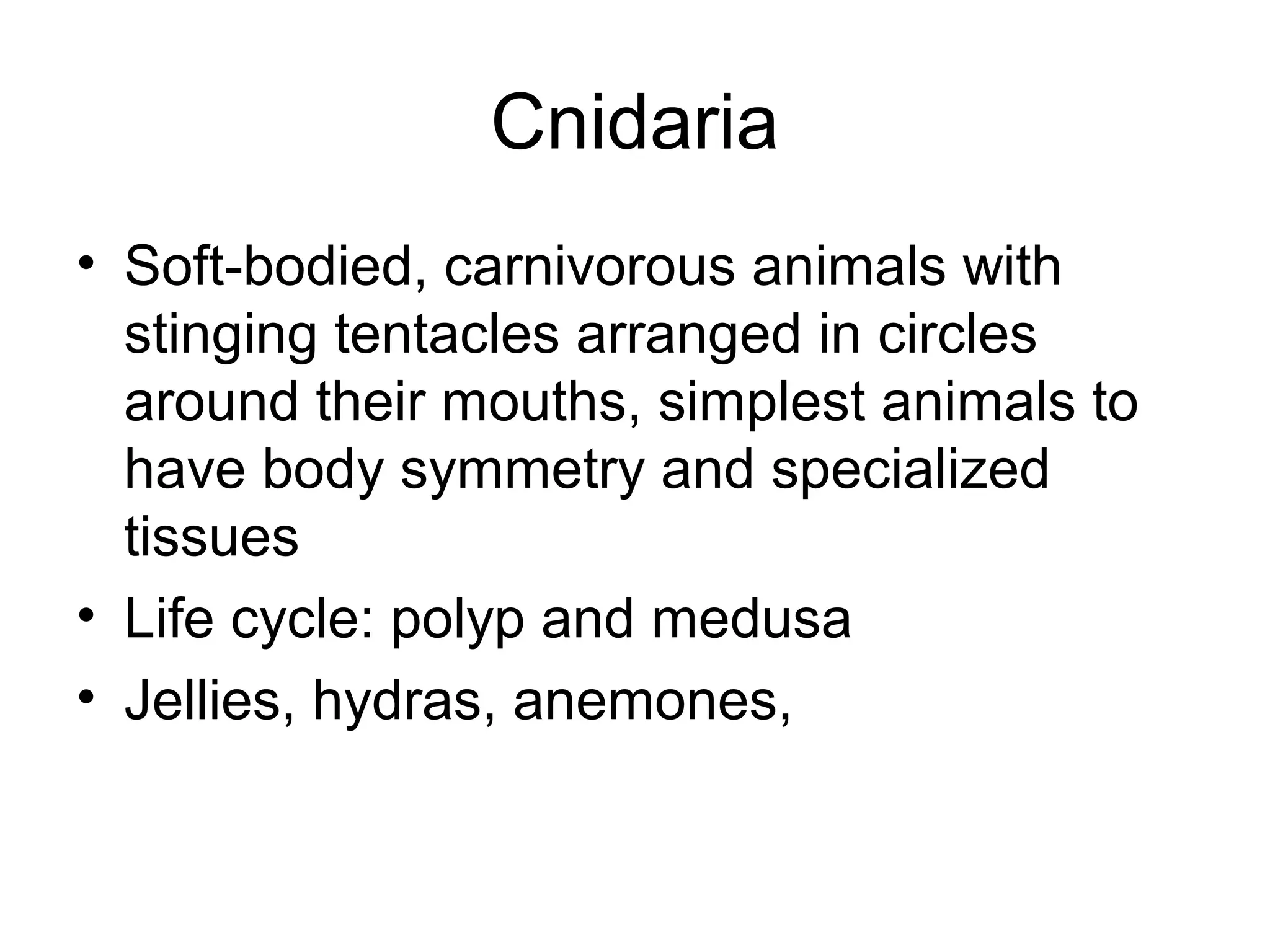 Cnidaria
• Soft-bodied, carnivorous animals with
stinging tentacles arranged in circles
around their mouths, simplest animals to
have body symmetry and specialized
tissues
• Life cycle: polyp and medusa
• Jellies, hydras, anemones,
 