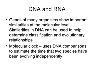 DNA and RNA
• Genes of many organisms show important
similarities at the molecular level.
Similarities in DNA can be used to help
determine classification and evolutionary
relationships
• Molecular clock – uses DNA comparisons
to estimate the time that two species have
been evolving independently
 