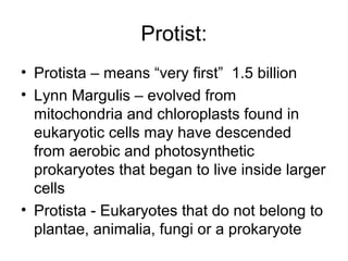 Protist:
• Protista – means “very first” 1.5 billion
• Lynn Margulis – evolved from
mitochondria and chloroplasts found in
eukaryotic cells may have descended
from aerobic and photosynthetic
prokaryotes that began to live inside larger
cells
• Protista - Eukaryotes that do not belong to
plantae, animalia, fungi or a prokaryote
 