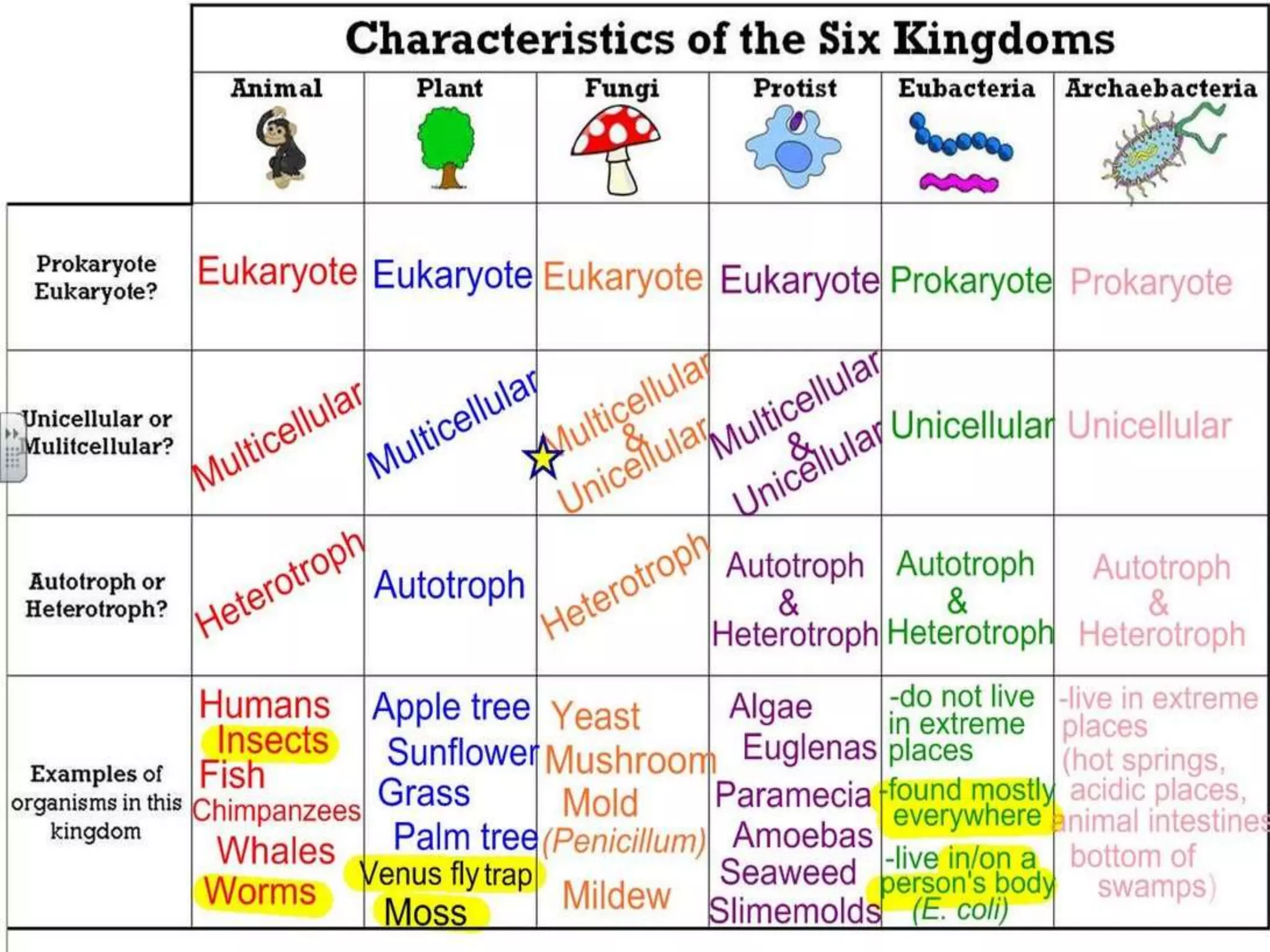 Classification seven kingdom