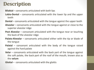 Description
Bilabial – consonants articulated with both lips
Labio-Dental – consonants articulated with the lower lip and the upper
teeth
Dental – consonants articulated with the tongue against the upper teeth
Alveolar – consonants articulated with the tongue against or close to the
superior alveolar ridge
Post Alveolar – consonant articulated with the tongue near or touching
the back of the alveolar ridge
Palato-Alveolar – consonants articulated either with the tip or blade of
the tongue
Palatal – consonant articulated with the body of the tongue raised
against the hard palate
Velar – consonants articulated with the back part of the tongue against
the soft palate, the back part of the roof of the mouth, known also as
the velum
Glottal – consonants articulated with the glottis
 