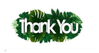 Classifications of pteridophytes