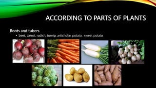 ACCORDING TO PARTS OF PLANTS
Roots and tubers
• beet, carrot, radish, turnip, artichoke, potato, sweet potato
 