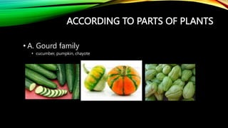 ACCORDING TO PARTS OF PLANTS
• A. Gourd family
• cucumber, pumpkin, chayote
 
