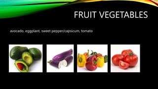FRUIT VEGETABLES
avocado, eggplant, sweet pepper/capsicum, tomato
 