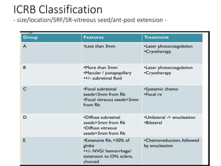 ICRB Classification
- size/location/SRF/SR-vitreous seed/ant-post extension -
 