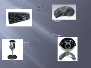 Input DevicesKeyboardMouseWebcamMicrophone