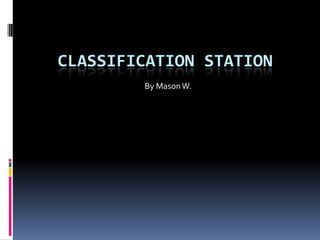Classification Station By Mason W. 