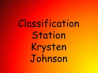 Classification Station Krysten Johnson 