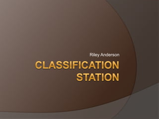 Classification Station Riley Anderson 